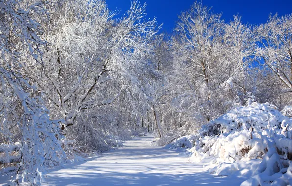 Картинка зима, дорога, небо, снег, деревья, природа