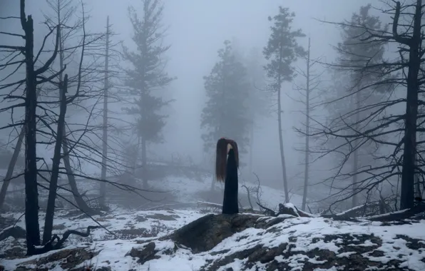 Картинка лес, девушка, снег, туман, Lichon