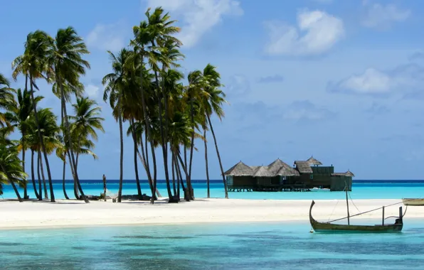 Картинка пляж, пальмы, океан, курорт, Maldives, Gili Lankanfushi