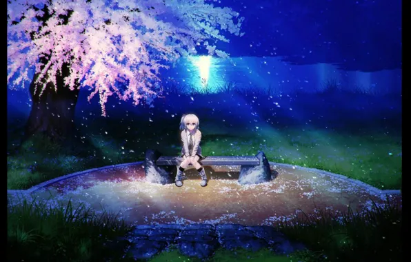 Картинка трава, скамейка, ночь, река, лепестки, сакура, цветение, Tenshi, Kanade Tachibana, Angel Beats, Ангельские ритмы