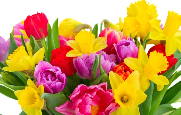 Картинка весна, colorful, тюльпаны, 8 марта, flowers, beautiful, нарциссы, Tulips