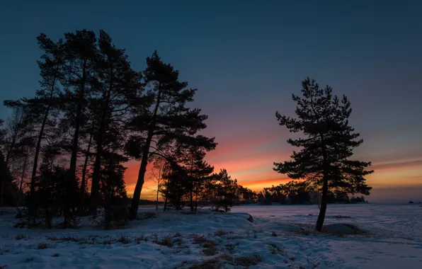 Картинка зима, снег, деревья, закат, сумерки