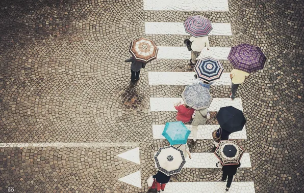 Картинка люди, улица, зонтики, street, people, прогулки, umbrellas, пешеходный переход, walking, crosswalk