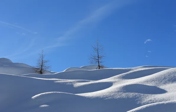 Картинка зима, небо, снег, холмы, склон, деревце