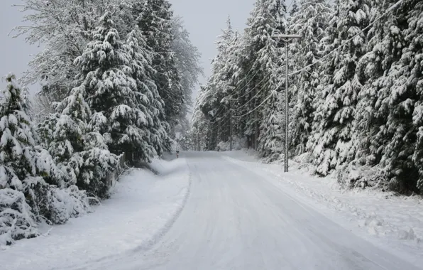 Картинка road, trees, Snow, winter