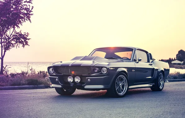 Картинка mustang, ford, shelby, eleanor, gt500e, Giannes Kokkas photography