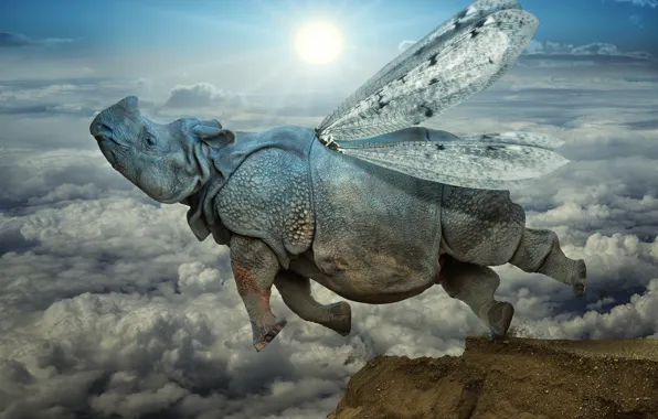 Картинка облака, прыжок, крылья, носорог