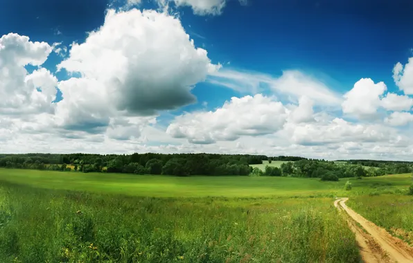 Картинка зелень, поле, небо, облака, природа, green, тропа, дорожка, summer, Россия, Russia, nature, fields, path