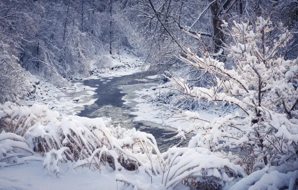 Картинка зима, лес, снег, деревья, снежинки, nature, winter, snow