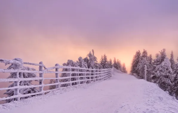 Картинка зима, дорога, снег, деревья, закат, забор, Romania, Румыния, Brasov, Брашов