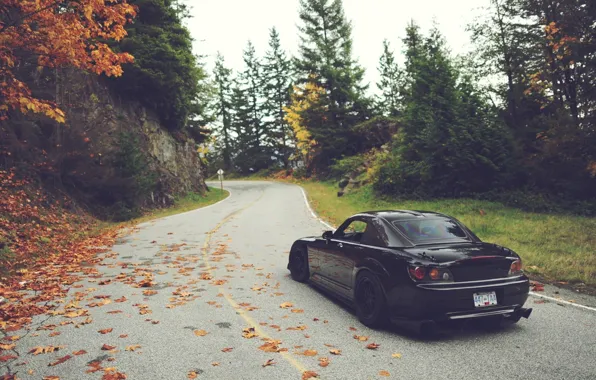 Картинка дорога, осень, листья, деревья, Honda, S2000