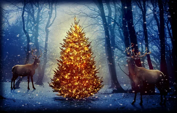 Картинка лес, снег, деревья, новый год, ёлка, олени, гирлянды