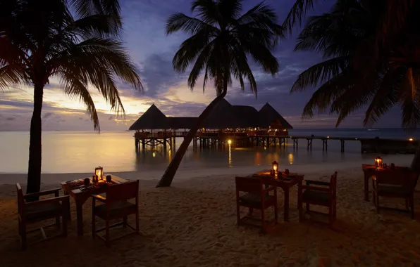 Картинка пляж, огни, пальмы, океан, вечер, курорт, the beach restaurant