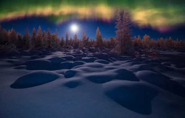 Картинка зима, лес, небо, снег, деревья, ночь, северное сияние, сугробы