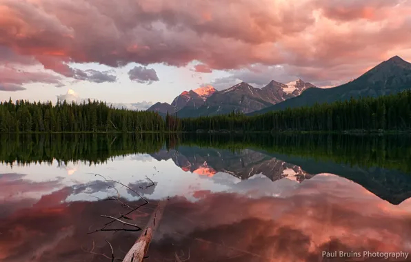 Картинка небо, облака, закат, озеро, вечер, Канада, хвойный лес, Скалистые горы, Национальный парк Банф, Herbert Lake