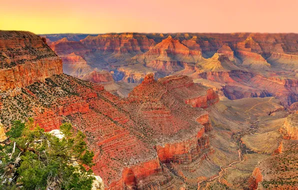 Картинка небо, закат, горы, дерево, каньон, Аризона, USA, США, Grand Canyon National Park
