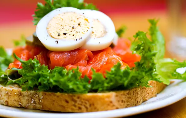 Картинка eggs, bread, tomatoes, Sandwich