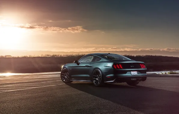 Картинка Mustang, Ford, Muscle, Car, Sunset, Wheels, Rear, 2015, Velgen