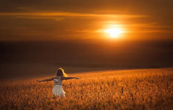 Картинка поле, солнце, платье, девочка, боке, равновесие