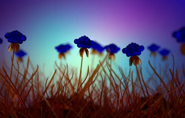 Картинка трава, стекло, синие цветы