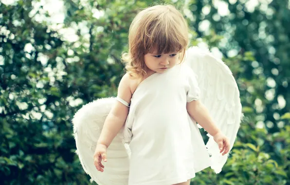 Картинка лето, ребенок, крылья, ангел, девочка, красивая, girls, маленькая, нежная, Little, Angels