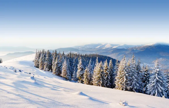 Картинка зима, лес, небо, снег, деревья, горы, холмы, ель