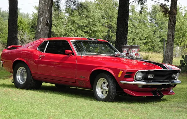 Картинка красный, Mustang, Ford, Форд, Мустанг, классика, 1970, Muscle car, drag racing