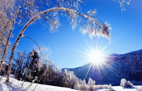 Картинка зима, небо, солнце, лучи, снег, деревья, горы