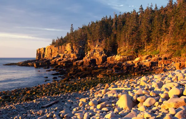 Картинка природа, парк, камни, побережье, США, Acadia