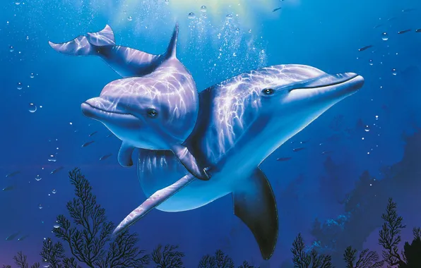Картинка море, дельфин, голубое, аквариум, красиво, Christian, Riese