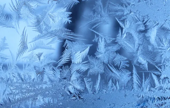 Картинка зима, иней, окно, frozen, Frosty, window