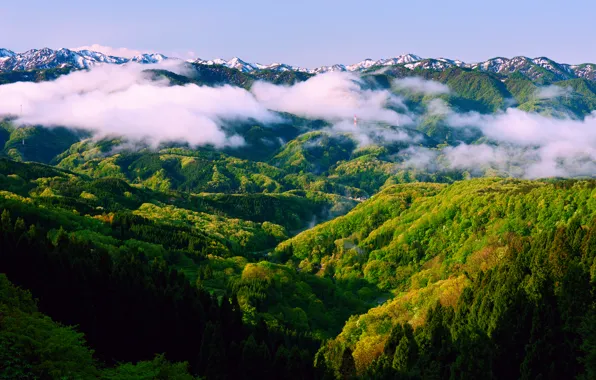 Картинка лес, небо, горы, туман, весна, утро, Япония, Хонсю, Исикава