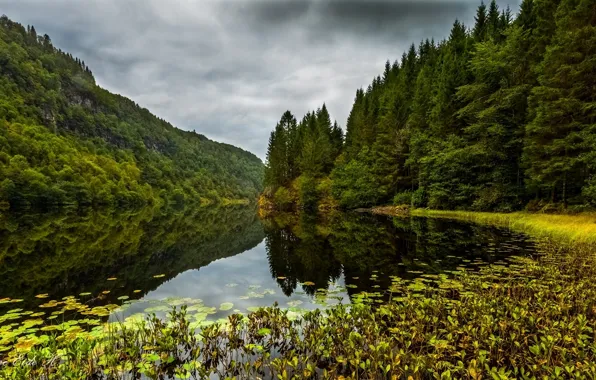 Картинка лес, озеро, Норвегия, Norway, Osteroy, Kossdalen valley, Остерёй