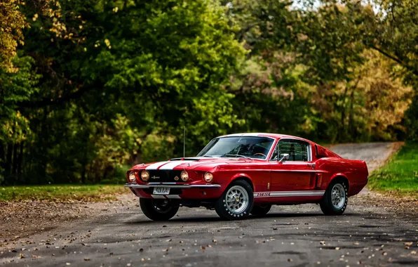 Картинка Ford, Shelby, GT500, форд, шелби, 1967, with LeMans stripes option