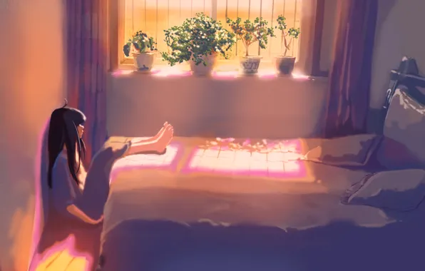 Картинка девушка, свет, закат, цветы, комната, аниме, окно, арт, xi chen chen