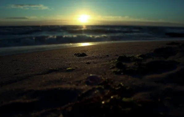 Картинка песок, море, вода, солнце, макро, лучи, пейзаж, восход, прибой, macro