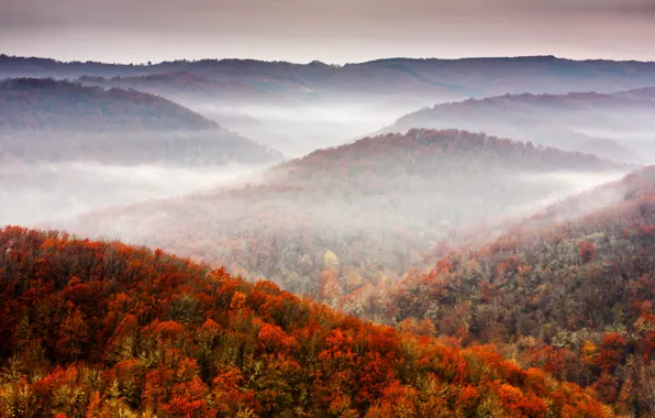Картинка осень, лес, небо, горы, природа, листва, sky, nature, mountains, tree, fall, foliage