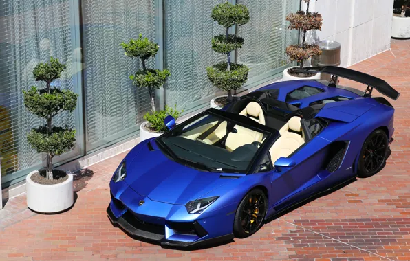 Картинка Roadster, Lamborghini, LP700-4, Aventador, matte blue