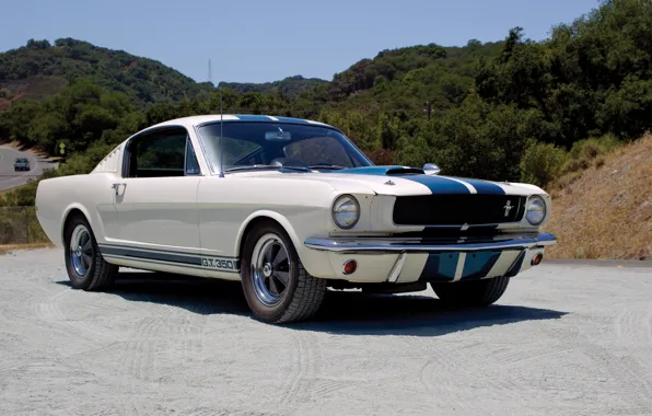 Картинка Mustang, Ford, Shelby, Prototype, мустанг, форд, шелби, 1965, GT350, Paxton