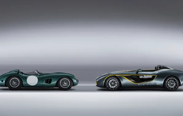 Картинка Concept, ретро, Aston Martin, спорт, гонки, болид, Speedster, CC100