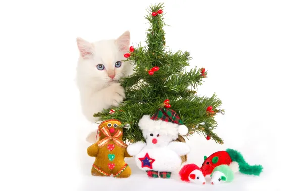 Картинка котенок, игрушки, елка, белый фон, сувениры