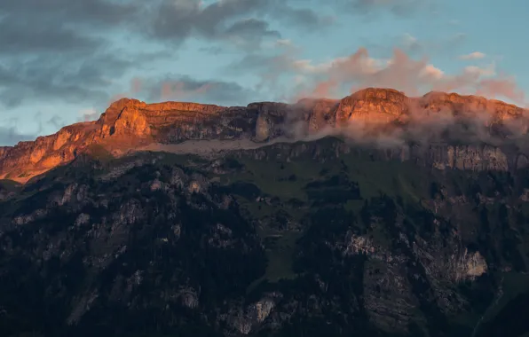 Картинка облака, деревья, закат, скалы, Горы, Switzerland, Ринггенберг, Roteflue, Ringgenberg