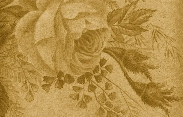 Картинка роза, текстура, винтаж