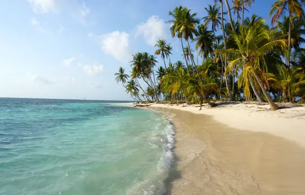 Картинка природа, тропики, пальмы, океан, берег, экзотика, Panama, San Blas