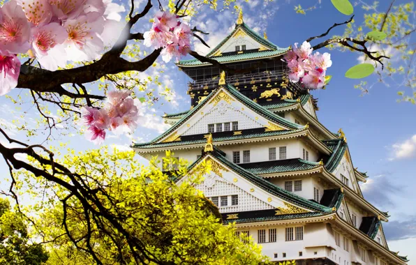Картинка замок, Япония, сакура, цветение, японский, castle, japanese