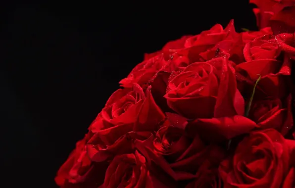 Картинка цветы, красный, роза, букет, red, rose, flowers, bouquet