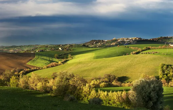 Картинка поле, осень, небо, облака, деревья, Италия, синее, поселок, Тоскана