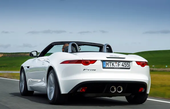 Картинка car, машина, небо, Jaguar, white, вид сзади, 2013, F-Type