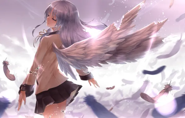 Картинка девушка, свет, крылья, ангел, перья, Tachibana Kanade, Angel Beats