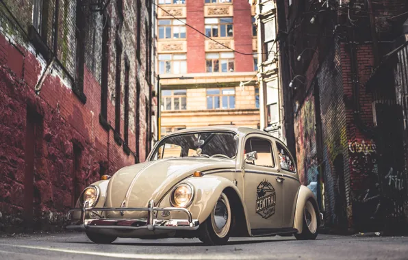 Картинка Volkswagen, Street, Beetle, 64